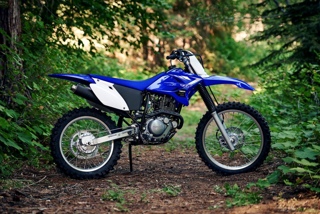 2020 Yamaha TTR230